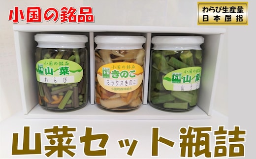 山形県小国町産山菜セット（わらび・山うど・ミックスきのこ瓶詰）