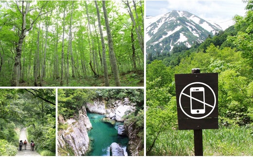 小国デジタルデトックスツアー（1名様分）