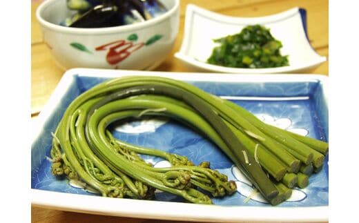 【先行予約】採れたて山菜 あく抜きわらび 200ｇ×4束 限定100