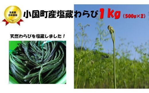 塩蔵わらび1kg（500×2パック）