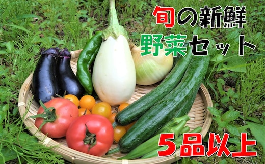 【数量限定】小国の旬の新鮮野菜セット 5品以上 