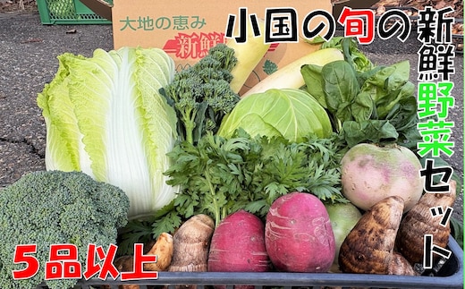 【数量限定】小国の旬の新鮮野菜セット 5品以上 