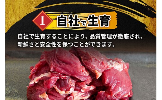 山形県 白鷹産【加熱用】馬肉 切り落としと馬肉ミンチのセット（合計約2kg）1袋・約200g入【冷凍発送】 | dショッピングふるさと納税百選