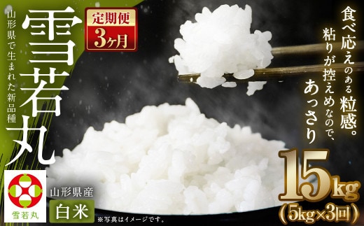 【3ヶ月定期便】【令和7年産】〈白米〉 雪若丸 5kg×3回 山形県産 (5kg袋小分け) 精米 【2025年11月上旬発送開始予定】