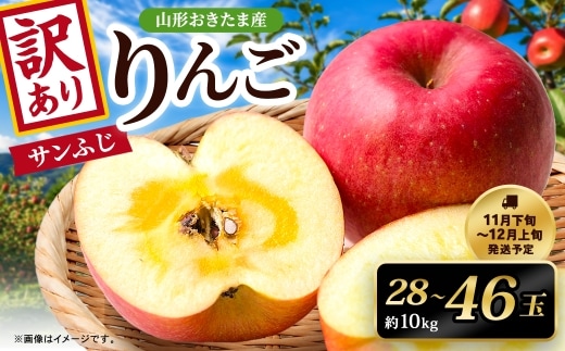 【訳あり】 山形県おきたま産 りんご (サンふじ)(〇秀) 28玉~46玉(約10kg) 山形県産 フルーツ 果物 林檎 リンゴ りんご サンふじ 家庭用 規格外 【2026年11月下旬~12月上旬発送予定】