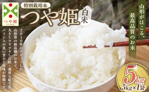 【令和7年産】〈白米〉つや姫 5kg <1回のお届け> (特別栽培米) 山形県産 しらたかのお米 【2025年11月上旬発送開始予定】