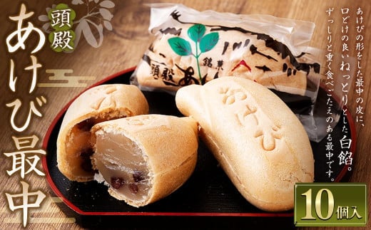 頭殿あけび最中 10個入 最中 もなか モナカ あけび アケビ 白餡 白あん 和菓子 スイーツ お菓子 おかし おやつ 【2025年10月上旬より順次発送開始予定】