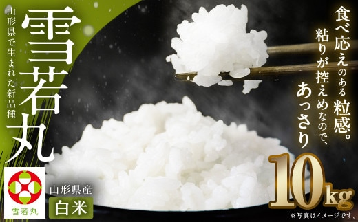 【令和7年産】〈白米〉 雪若丸 10kg <1回のお届け> 山形県産 精米