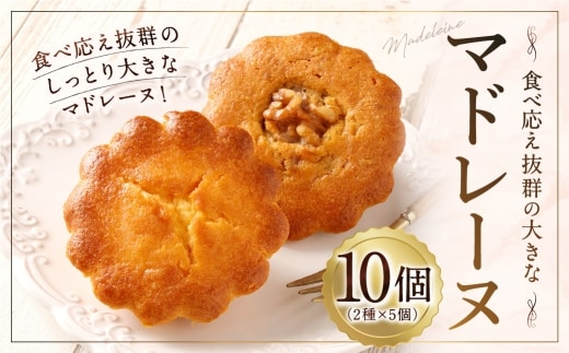 大きい!マドレーヌ(プレーン・くるみ) 10個 お菓子 菓子 デザート スイーツ マドレーヌ ビッグ BIG プレーン くるみ