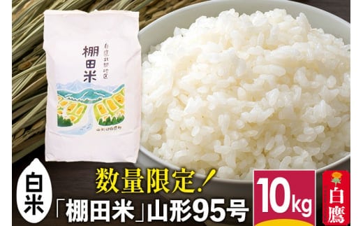 【白米】山形県産 棚田米 白鷹ほまれ 10kg 【令和7年産】 山形95号 令和7年産 米 お米 精米 コメ おこめ ごはん ご飯 白米 10キロ