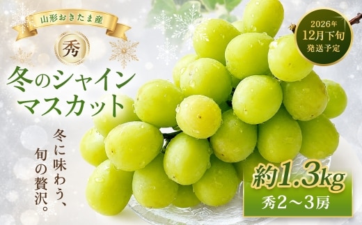 山形おきたま産冬のシャインマスカット (秀) 2~3房 (約1.3kg)シャインマスカット マスカット 葡萄 フルーツ 果物 果実 冷蔵 山形県 白鷹町 【2026年12月下旬順次発送予定】