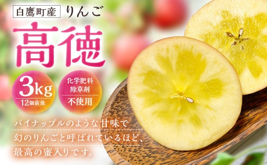 白鷹町産りんご (高徳) 3kg りんご 林檎 果物 くだもの フルーツ 旬 高徳 国産 山形県 白鷹町 【2026年11月上旬~11月下旬発送予定】