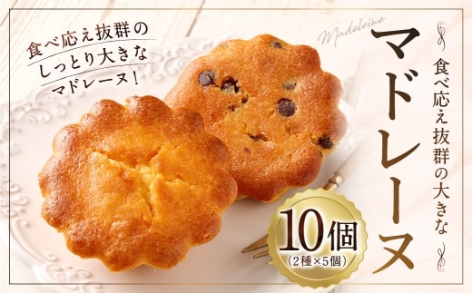 大きい!マドレーヌ(プレーン・チョコチップ) 10個 お菓子 菓子 デザート スイーツ マドレーヌ ビッグ BIG プレーン チョコチップ