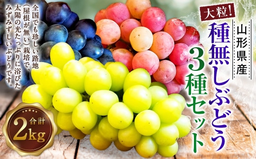 たっぷり日光を浴びたみずみずしい 種無しぶどう3種セット (シャインマスカット+旬なぶどう) 約2kg 山形県産 産地直送 フルーツ マスカット 果物 高級 ぶどう 【2026年9月下旬~10月上旬に順次発送予定】