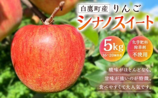 白鷹町産りんご (シナノスイート) 5kg りんご 林檎 果物 くだもの フルーツ 旬 シナノスイート 国産 山形県 白鷹町 【2026年9月下旬~10月上旬発送予定】