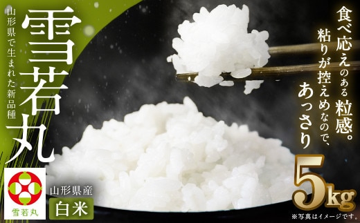 【令和7年産】〈白米〉 雪若丸 5kg <1回のお届け> 山形県産 精米 【2025年11月上旬発送開始予定】