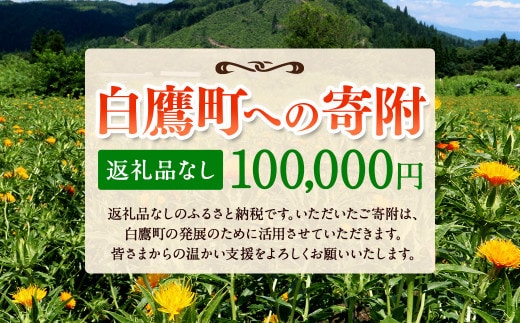 白鷹町への寄附(返礼品はありません) 100,000円 山形県 白鷹町 返礼品なし