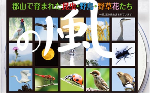 デジタル写真素材 「の風」 本 DVD 