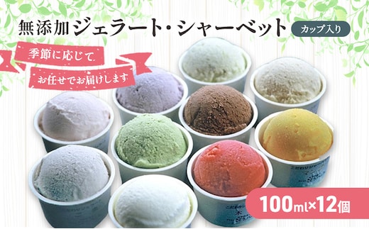 無添加 ジェラート・シャーベット詰合せ 100ml×12個 スイーツ アイスクリーム セット 