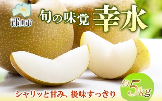 梨 幸水 約5kg 果物 なし くだもの フルーツ 旬 ナシ 産地直送 国産 家庭用 贈答用 グルメ お取り寄せ ジューシー 果汁 みずみずしい 果実 デザート 福島県 郡山市
