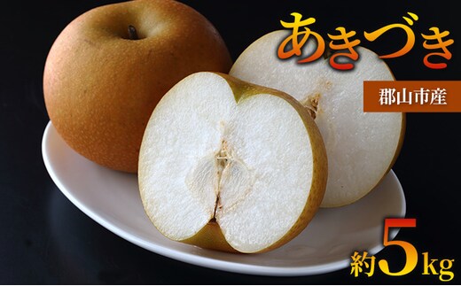梨 あきづき 約5kg 果物 なし くだもの フルーツ 旬 ナシ 産地直送 国産 家庭用 贈答用 人気 グルメ お取り寄せ ジューシー 果汁 みずみずしい 果実 デザート 福島県 郡山市