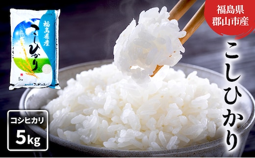 【令和7年産】コシヒカリ(白米) 5kg お米 こめ コメ 精米 こしひかり 令和7年 福島