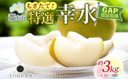 特選 幸水 約3kg 大玉 6～8個 なし 梨 ナシ もぎたて 甘い 旬 果物 GAP 認証 産地直送 贈り物 贈答用 送料無料 上の山 彩果園 うえのやま さいかえん 福島県 郡山市