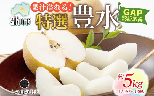 特選 豊水 約5kg 大玉 7～13個 なし 梨 ナシ もぎたて 甘い 旬 果物 GAP 認証 産地直送 贈り物 贈答用 送料無料 上の山 彩果園 うえのやま さいかえん 福島県 郡山市