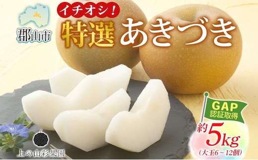 特選 あきづき 約5kg 大玉 6～12個 なし 梨 ナシ もぎたて 甘い 旬 果物 GAP 認証 産地直送 贈り物 贈答用 送料無料 上の山 彩果園 うえのやま さいかえん 福島県 郡山市