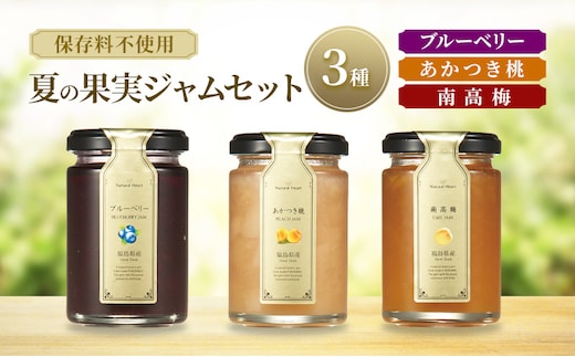 ジャム 夏の果実ジャムセット 3種（ ブルーベリー 桃 梅 ） 保存料不使用 プレザーブスタイル あかつき もも 南高梅 うめ セット