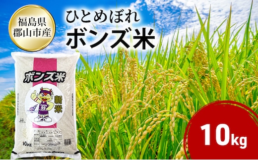 ボンズ米 ひとめぼれ 10kg 福島ファイヤーボンズ 米 お米 精米 白米 こめ コメ 令和7年産 令和7年 福島県 郡山市