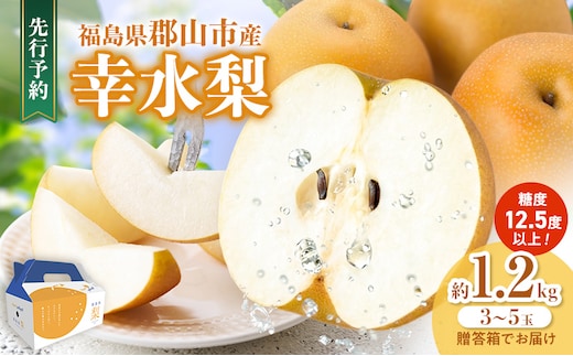 みずみずしく糖度が高い梨 福島県郡山市産 幸水 約1.2kg（3～5玉） 梨 なし ナシ 果物 くだもの フルーツ 福島県 郡山市