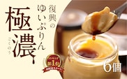 ゆいプリンリッチ 6個 セット スイーツ デザート プリン 洋菓子 お菓子 菓子 お取り寄せ 贅沢 濃厚 贈答 ギフト プレゼント お中元 お歳暮 おすすめ 人気 美味しい 冷蔵 福島県 田村市 田村 みやこじスイーツゆい