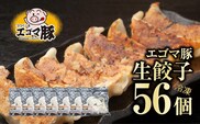 エゴマ豚 冷凍 生餃子 56個 ( 8個入 × 7袋 ) 生餃子 冷凍餃子 冷凍保存 肉 加工肉 餃子 中華 おかず おつまみ モチモチ 旨味 エゴマ豚 お歳暮 冬ギフト ギフト プレゼント 人気 ランキング おすすめ グルメ 福島 ふくしま 田村 田村市 たむら 川合精肉店