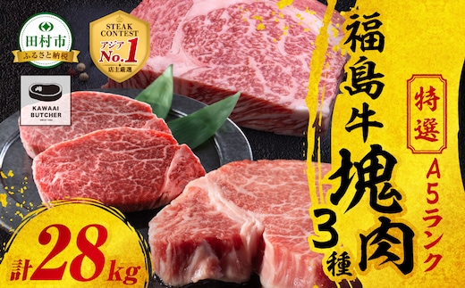 【 厳選 福島牛 A5 】塊肉3種 詰合せ 合計28kg スパイス付き ヒレ サーロイン リブロース ブロック肉 ステーキ BBQ ローストビーフ チャンピオンスパイス 高級肉 冷凍 保存 肉 牛肉 焼肉 贈答 ギフト プレゼント 人気 ランキング おすすめ グルメ イチオシ 福島県 福島 ふくしま 田村 田村市 たむら 川合精肉店 N009-003