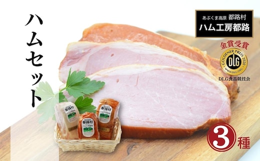 「 ハム 3種セット 」 やまと豚 DLG 金賞 おかず 焼くだけ のし 熨斗 ギフト お中元 お歳暮 プレゼント 福島県 福島 田村市 ハム工房都路 within2024