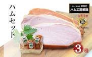「 ハム 3種セット 」 やまと豚 DLG 金賞 おかず 焼くだけ のし 熨斗 ギフト お中元 お歳暮 プレゼント 福島県 福島 田村市 ハム工房都路 within2024