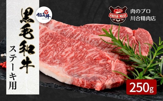 【 福島牛 】 黒毛和牛 サーロインステーキ用 250g 1枚 冷凍保存 肉 牛肉 焼肉 ステーキ 旨味 ギフト プレゼント 人気 ランキング おすすめ グルメ 福島 ふくしま 田村 田村市 たむら 川合精肉店