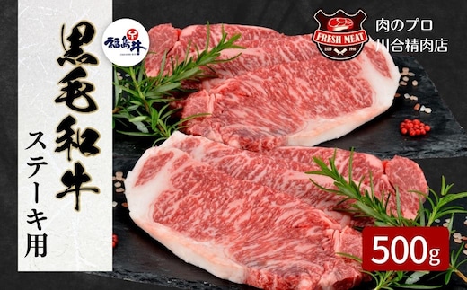 【 福島牛 】 黒毛和牛 サーロインステーキ用 500g ( 250g × 2枚 ) ステーキ肉 冷凍保存 肉 牛肉 焼肉 ステーキ 人気 ランキング おすすめ グルメ ギフト 贈答 プレゼント お中元 お歳暮 福島 ふくしま 田村 田村市 たむら 川合精肉店 within2024