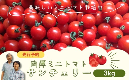 【先行予約】ミニトマト サンチェリー 3kg 2026年7月発送 大容量 トマト プチトマト 新鮮 野菜 農家直送 3キロ おすすめ おいしい ギフト 贈答 プレゼント 福島県 田村市 田村 よしのや農園 N061-002