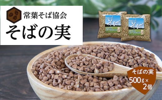 あぶくま高原 そば そばの実 1kg ( 500g × 2個 ) 蕎麦 そば打ち 低GI GAP FGAP 国産 おすすめ お中元 福島県 田村市 常葉そば協会 within2024 N074-003