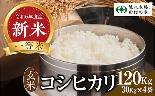 年内発送 12/24(日)決済完了分まで！／新米 【 令和5年 田村市産