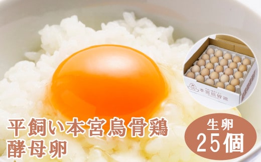 福島県本宮市産 平飼い本宮烏骨鶏酵母卵 生卵25個 【07214-0013】