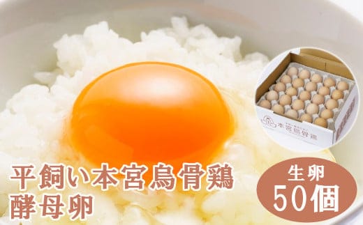 福島県本宮市産 平飼い本宮烏骨鶏酵母卵 生卵50個 【07214-0019】