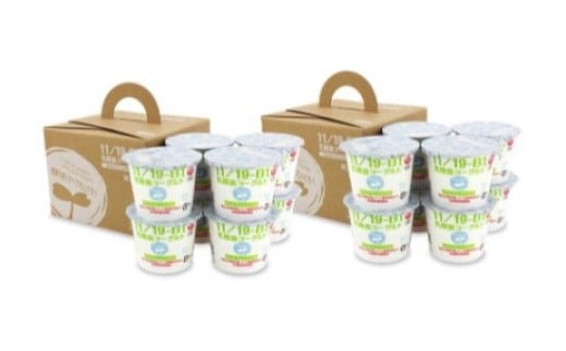 11/19-B1乳酸菌ヨーグルト2箱(1箱8個入り) 【07214-0023】