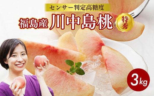 透過式光センサー川中島白桃 特秀3kg相当 9玉～11玉＜ ふくしま未来農業協同組合 ＞ | ふくしま 桃 福島 もも 国見 モモ ※2026年8月中旬頃より順次発送予定 ※沖縄・離島への配送不可