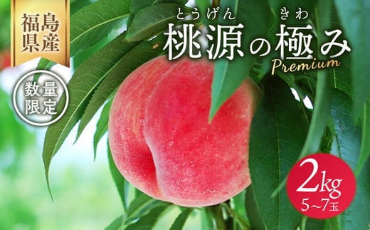 ◆2026年夏発送◆桃源の極み ～産直・桃・約2kg～ ※離島への配送不可 ※2026年7月上旬～9月上旬頃に順次発送予定