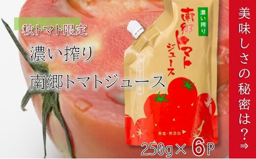 濃い搾り 南郷トマトジュース 6パック 果汁飲料 野菜飲料 ストレート 無添加 