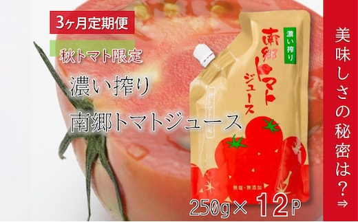3ヶ月定期便 濃い搾り 南郷トマトジュース 計36パック 12パック×3ヶ月 果汁飲料 野菜飲料 ストレート 無添加 野菜 トマト とまと