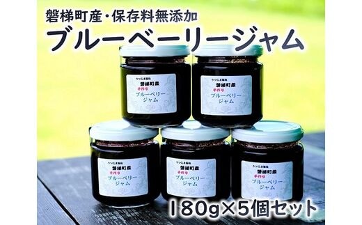 ブルーベリー ジャムセット 180g×5個